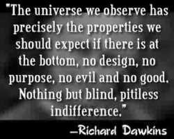 Dawkins quote