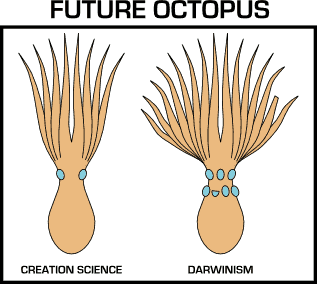The future octopus.