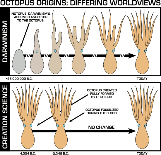 Chart of Darwinist and Creation Science models of octopus origins.
