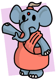 Habu, an unsaved elephant